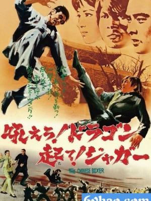 年代剧《长夜将明》封面